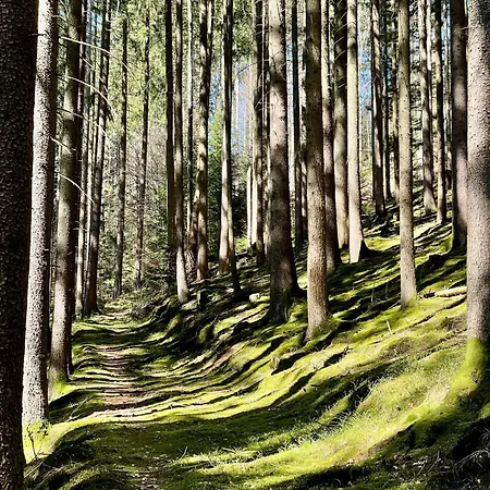 Appartamento Marhoerdt - Natuerliches Wohnen Neben Dem Golfplatz *