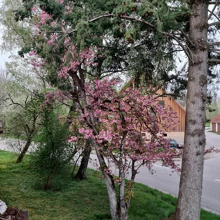 Marhoerdt - Natuerliches Wohnen Neben Dem Golfplatz *