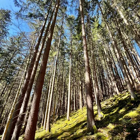 Marhoerdt - Natuerliches Wohnen Neben Dem Golfplatz Oberrot